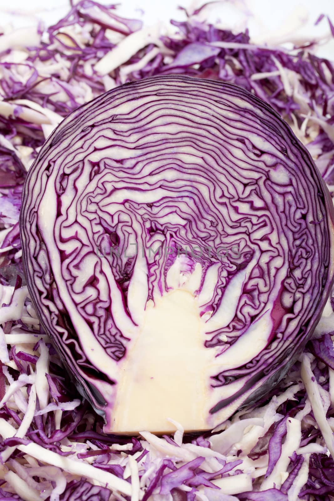 White and Red  Cabbage