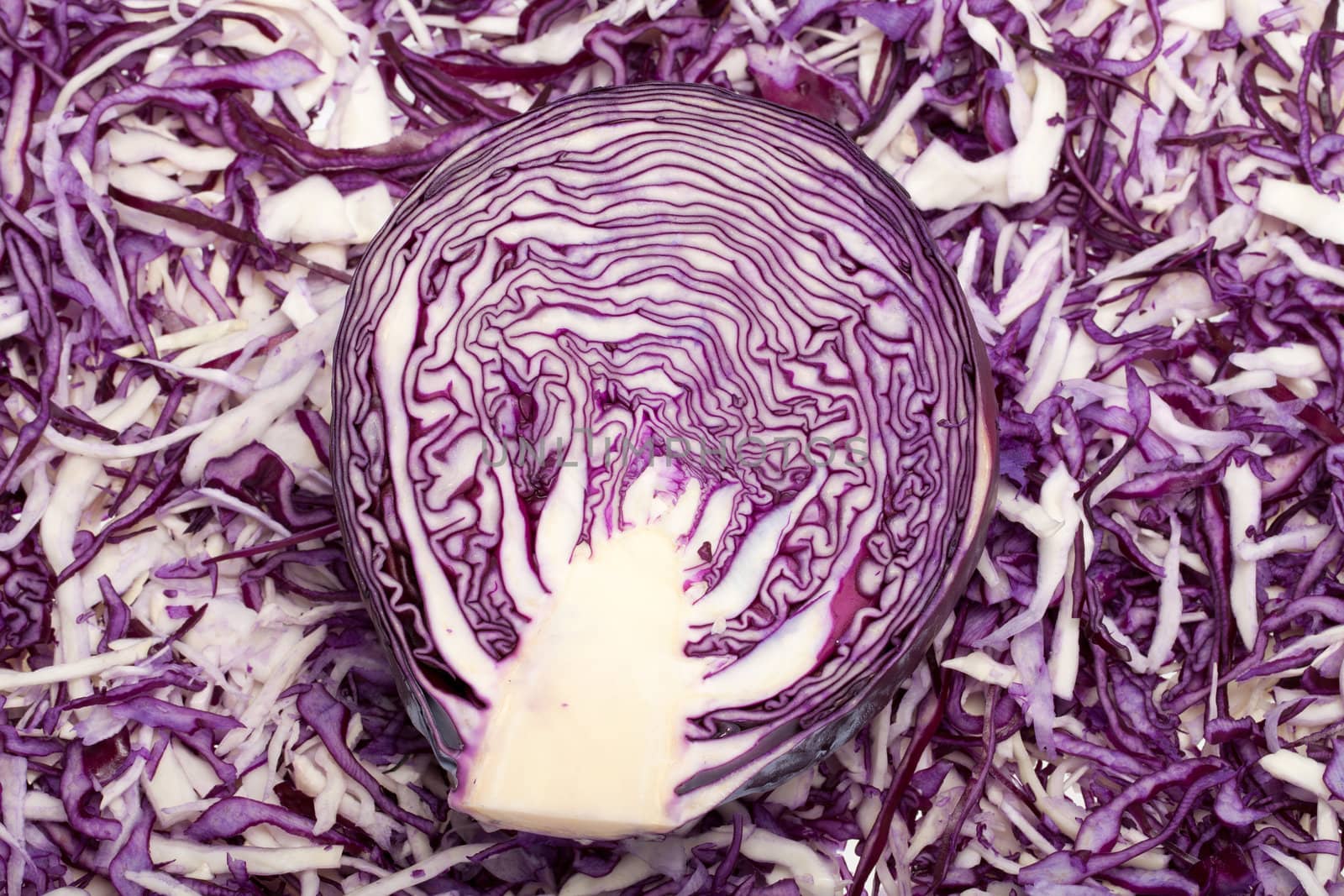 White and Red  Cabbage