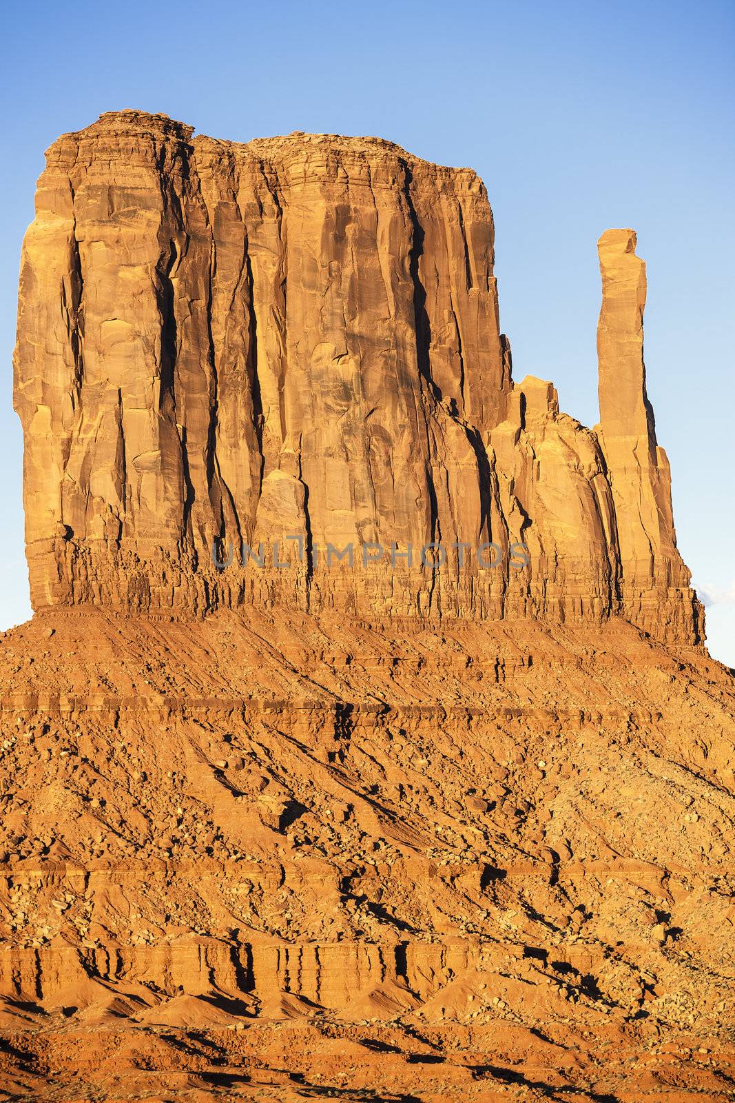 Vertical view of Monument Valley West Thumb 