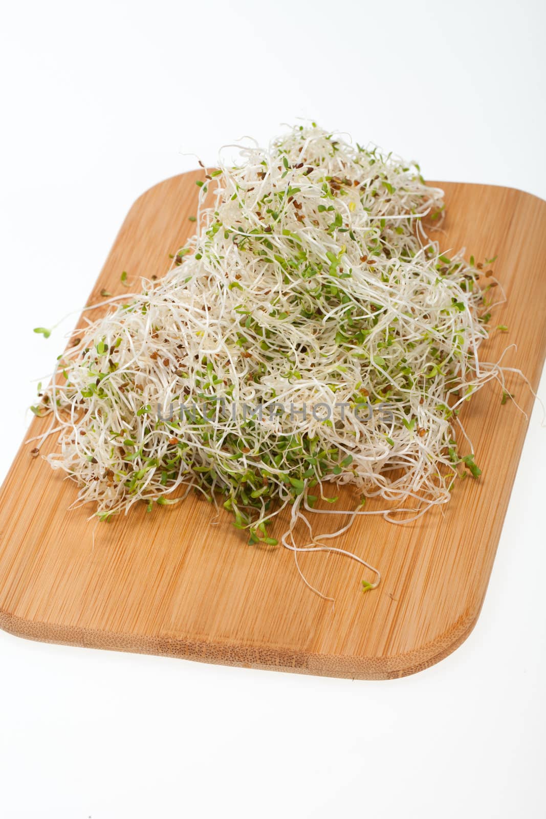 The healthy diet. Fresh sprouts isolated on white background 