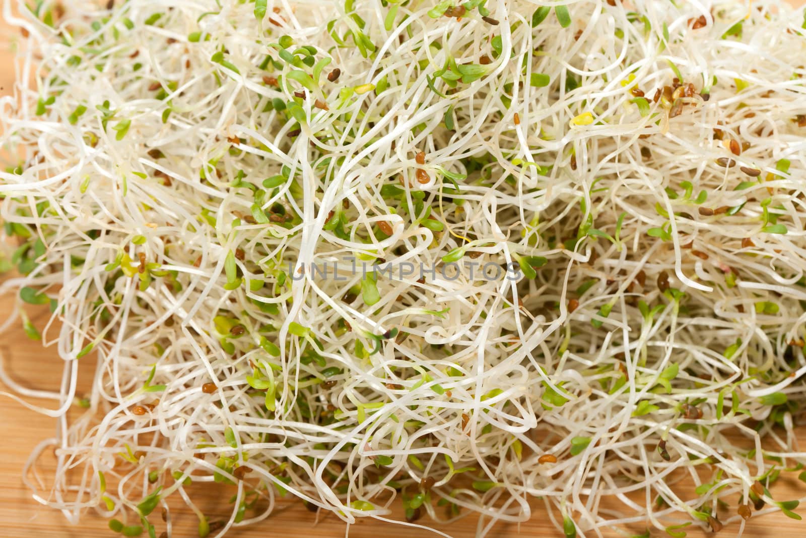 The healthy diet. Fresh sprouts isolated on white background 