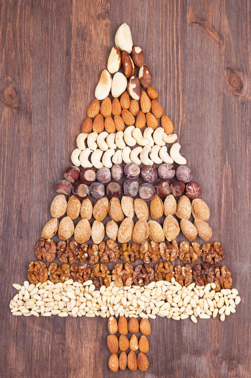 Set of different varieties of nuts in the form of a tree