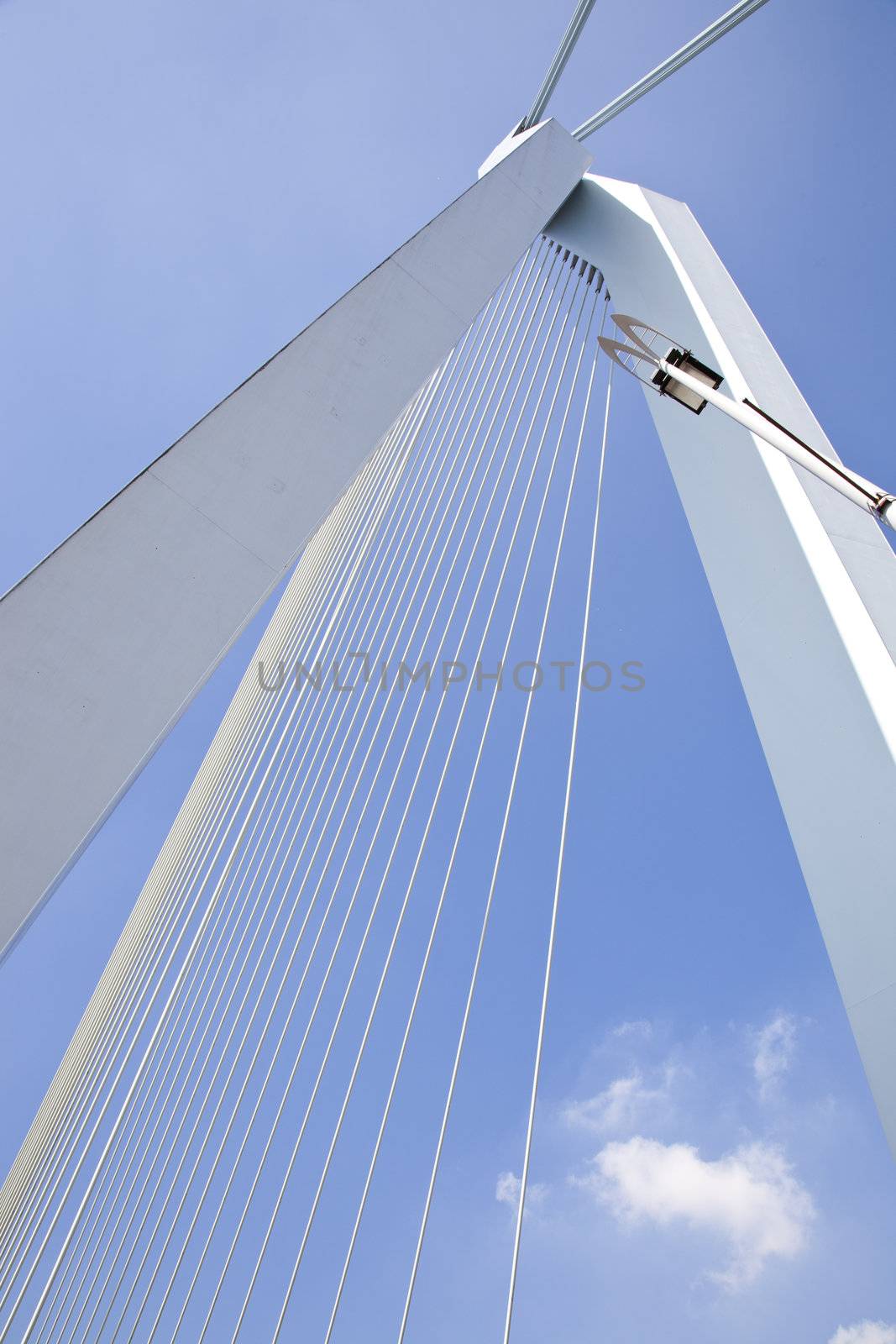 Detail of Erasmus bridge in Rotterdam, The Netherlands