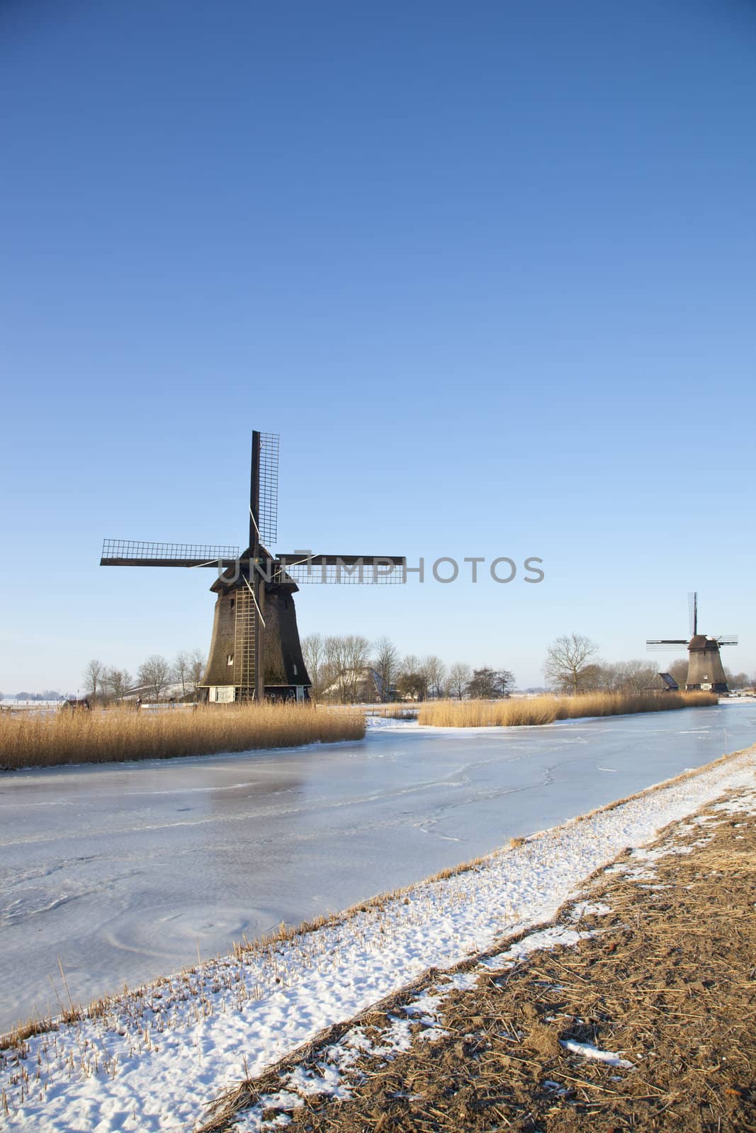 Two windmills in winter time with snow, ice and blue sky