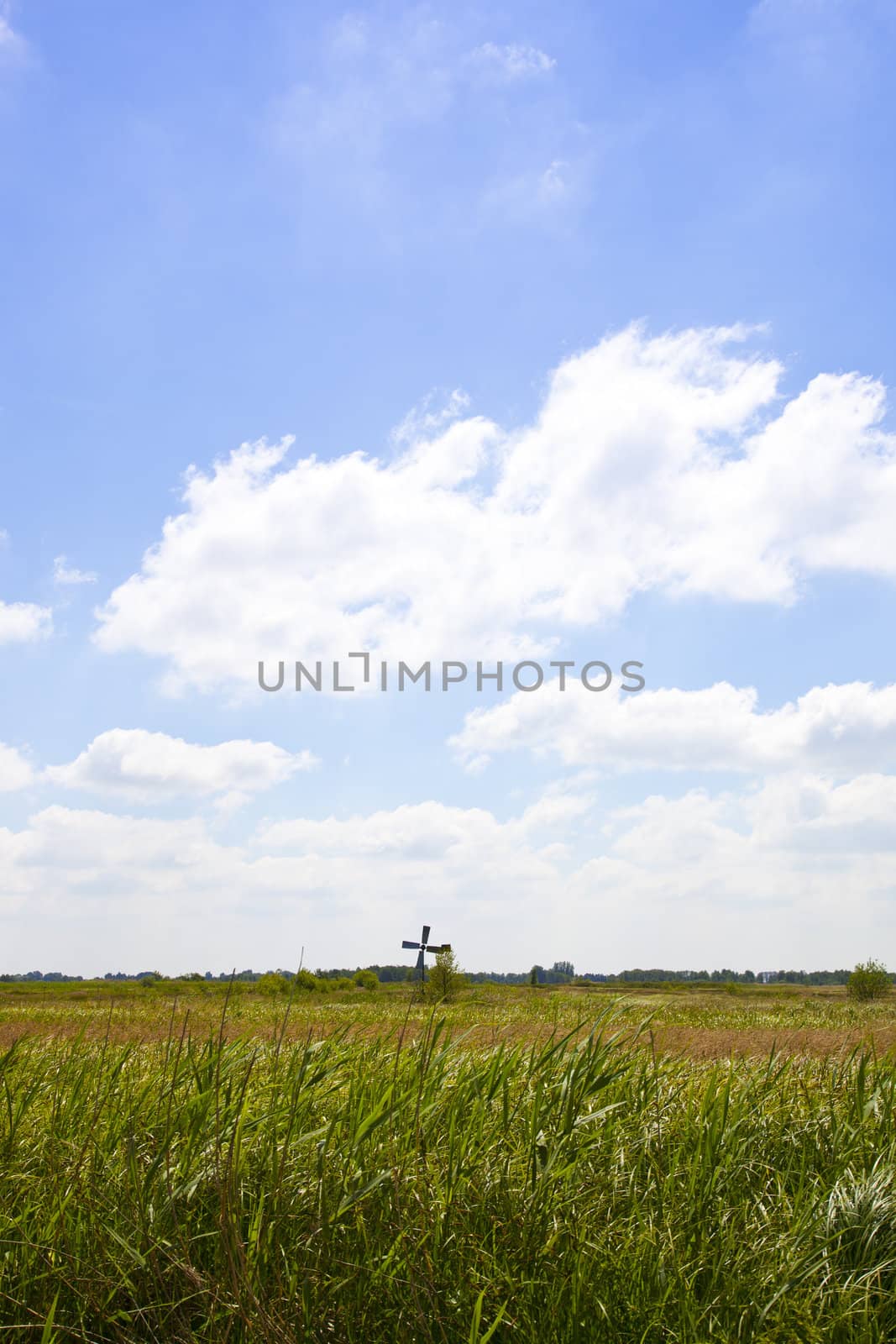 Beautiful Dutch landscape with high grass and little mill with blue sky
