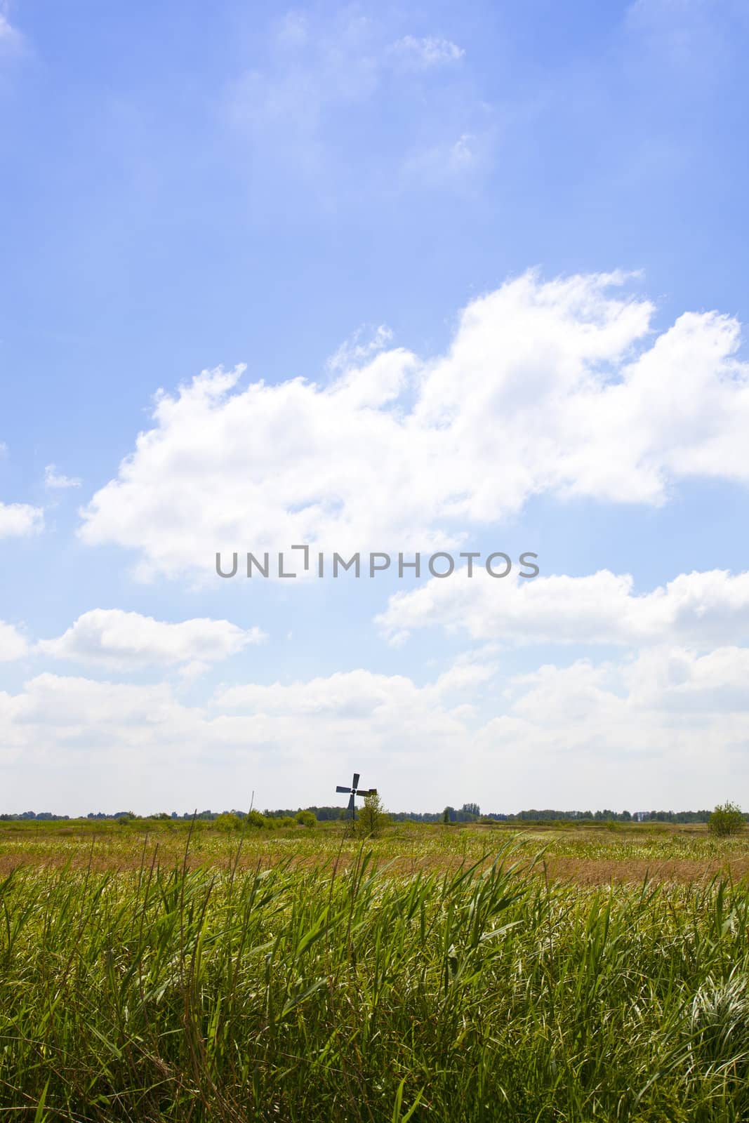 Beautiful Dutch landscape with high grass and little mill with blue sky