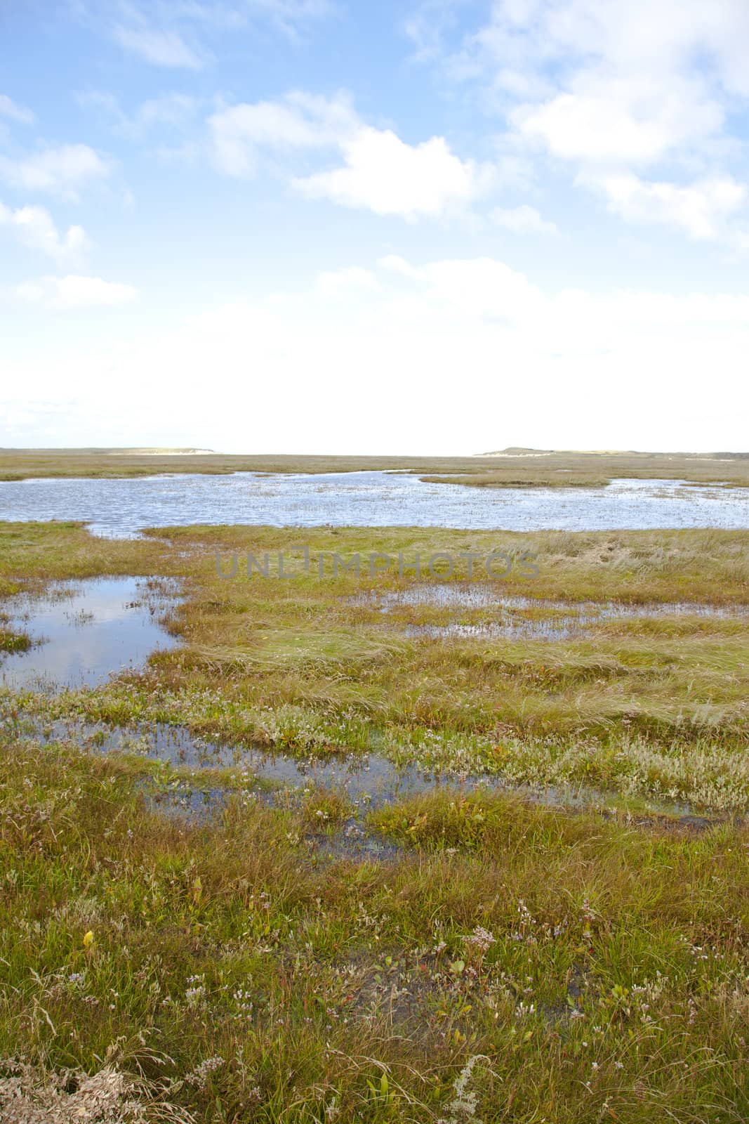 View at unique Slufter nature where salt water meets grass on island Texel, the Netherlands by gigra