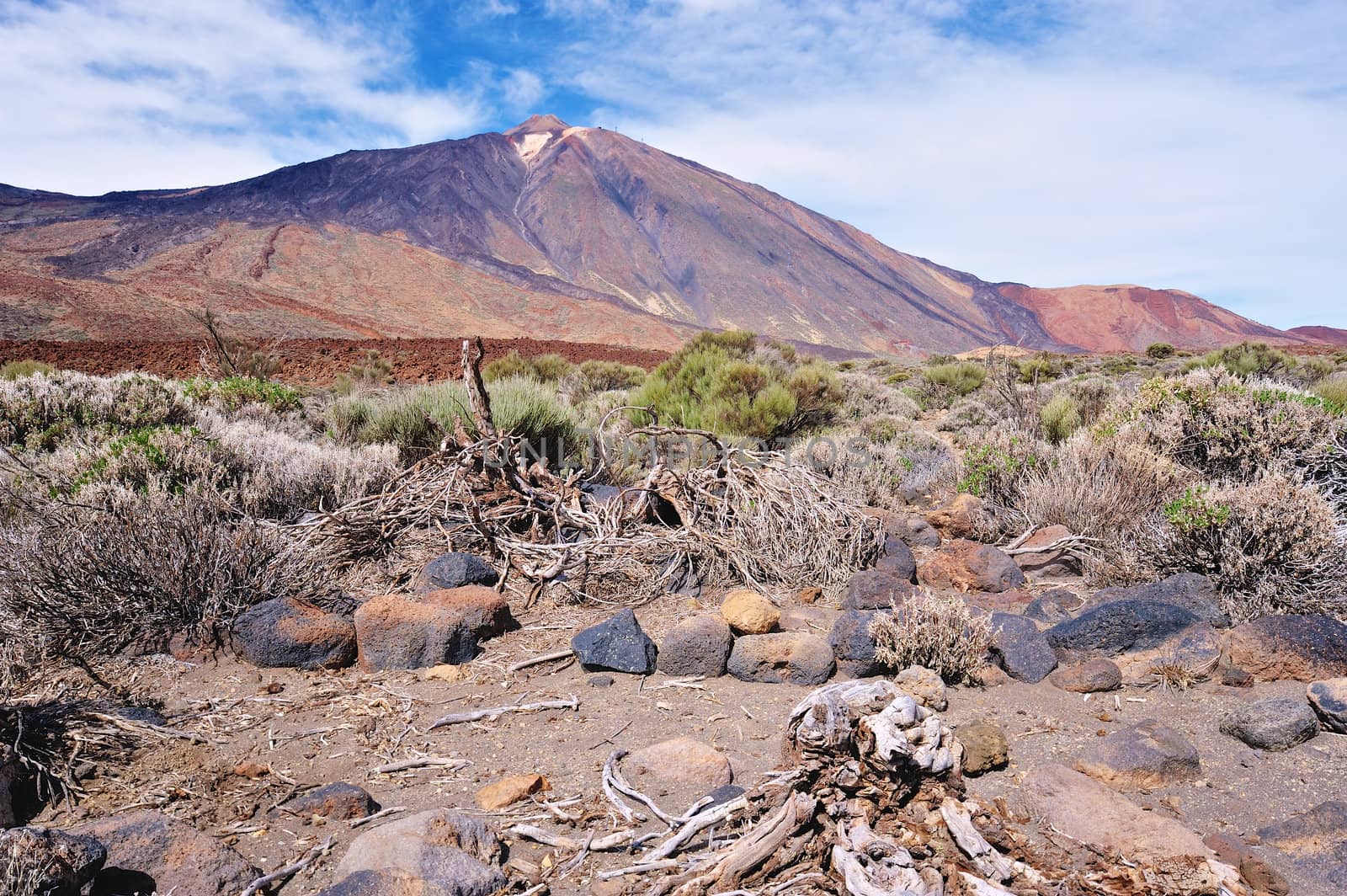 Mountain landscape of Teide National Park. Tenerife, Canary Islands