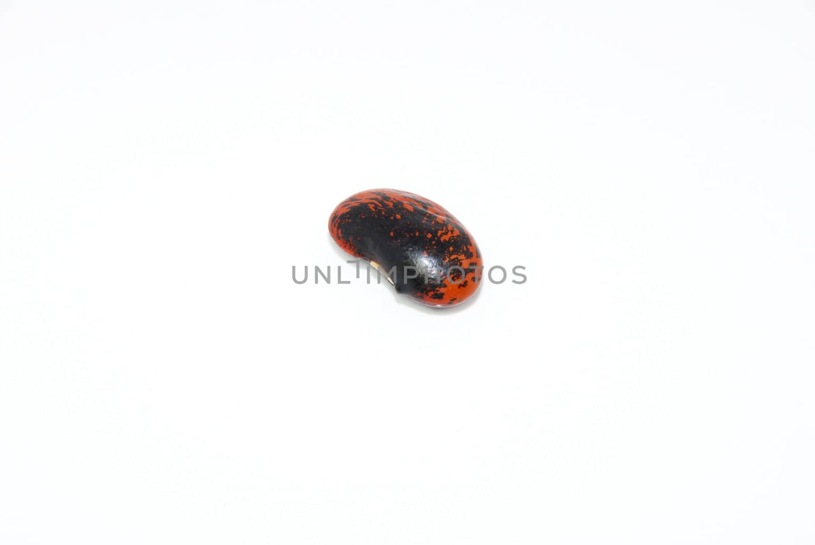 Single runner bean seed, isolated on a white background