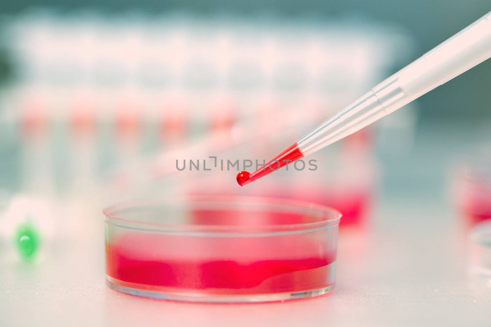 Pipette with drop of liquid and petri dishes