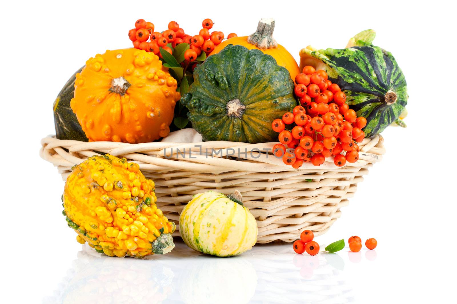 set of autumn pumpkins, isolated on the white background by motorolka