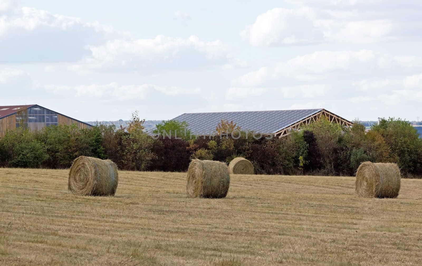 straw in a field, at the end of the summer by neko92vl