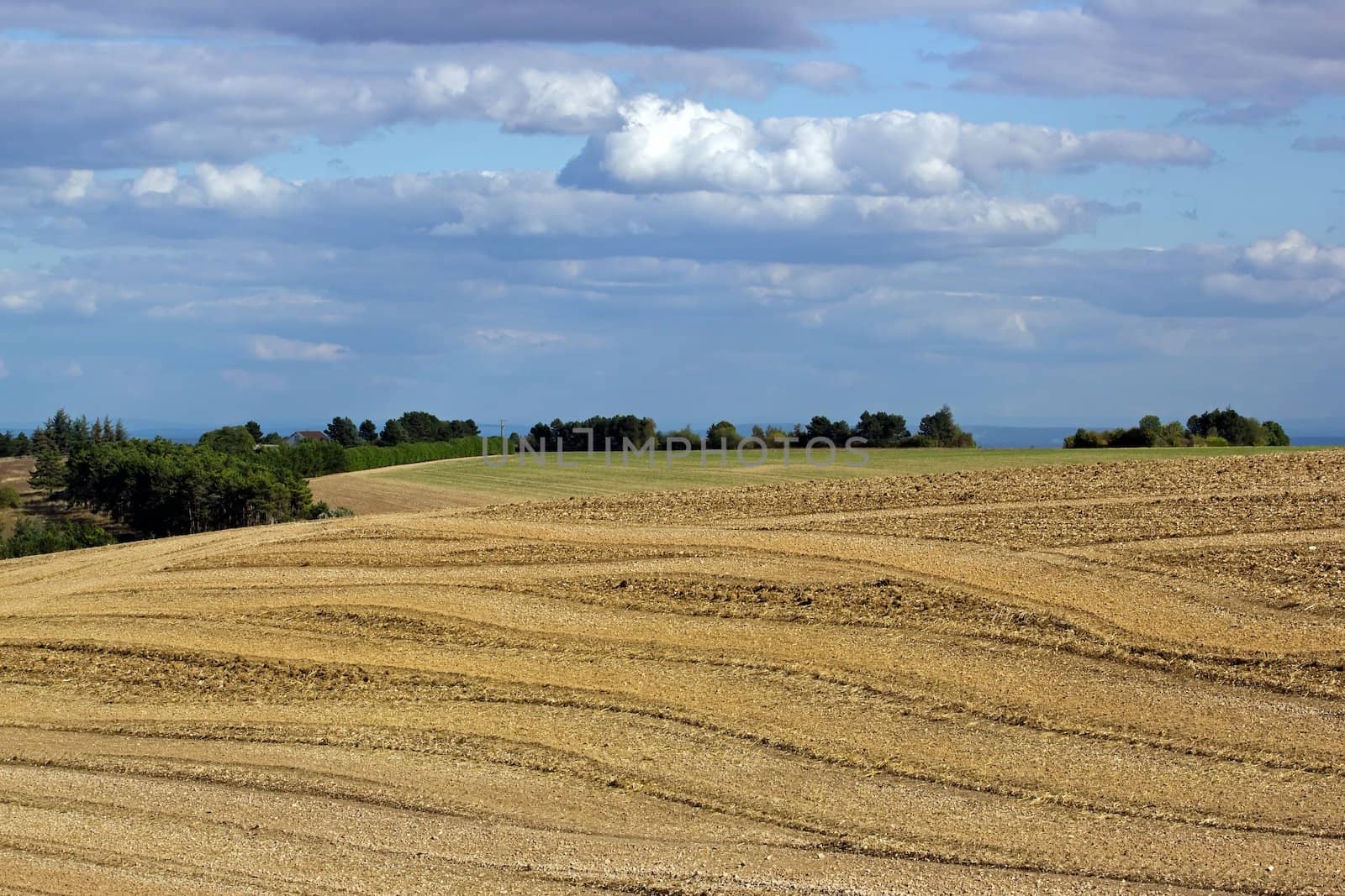 Campaign of Burgundy (France) at the end of the summer by neko92vl