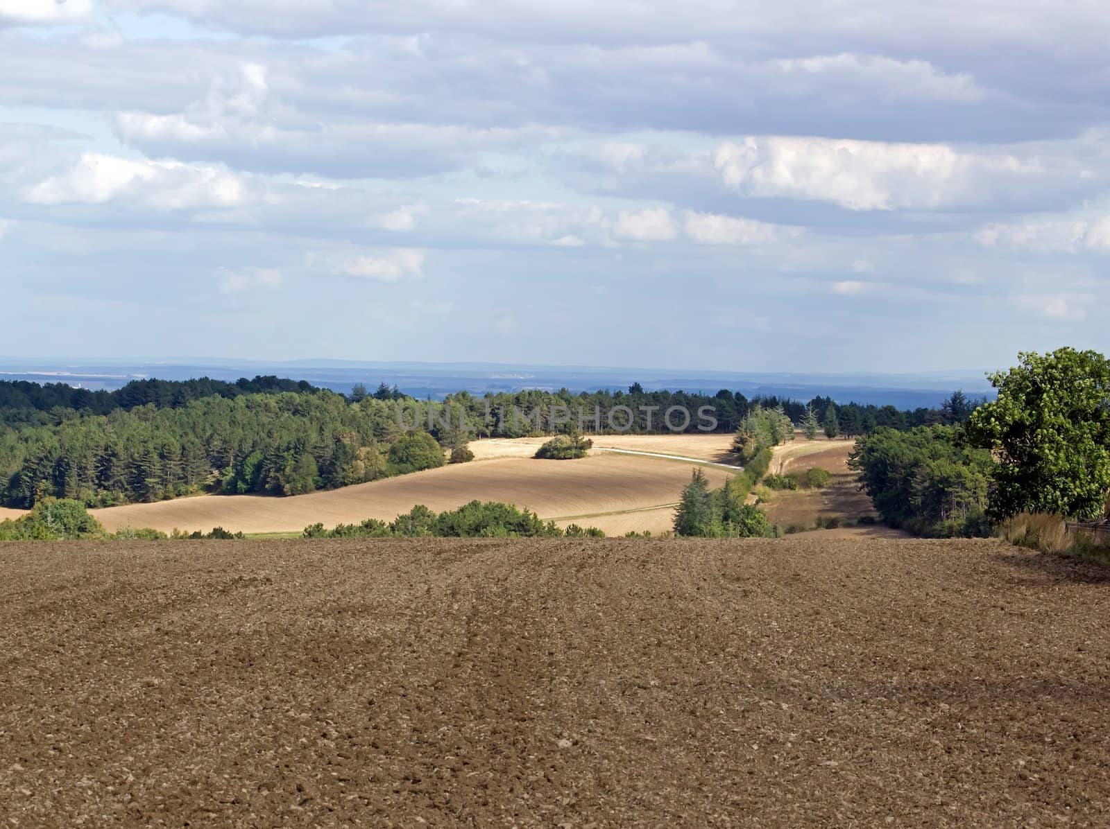 Burgundian campaign near of Dijon  France Europe by neko92vl