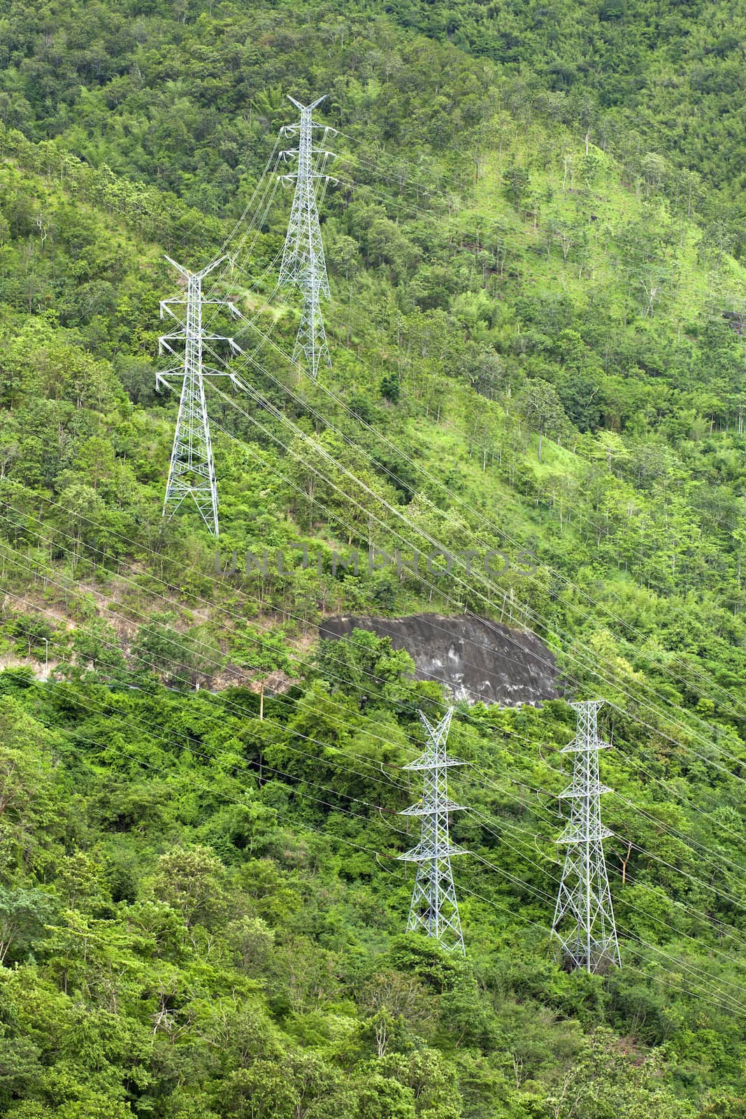 High Voltage Electric Post against the forest