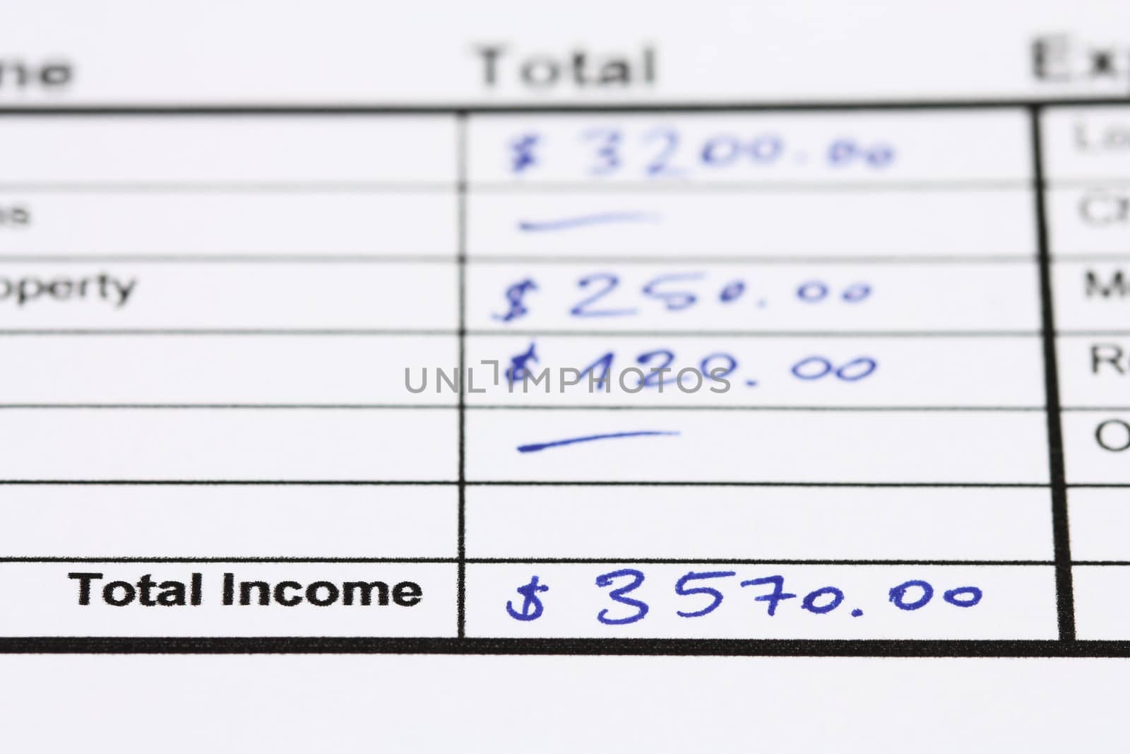 Consumer credit application - total income written in a table with blue ink. Shallow depth of field.