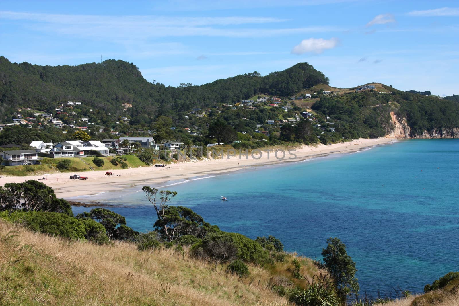 Hahei Beach in Coromandel peninsula. New Zealand - North Island.