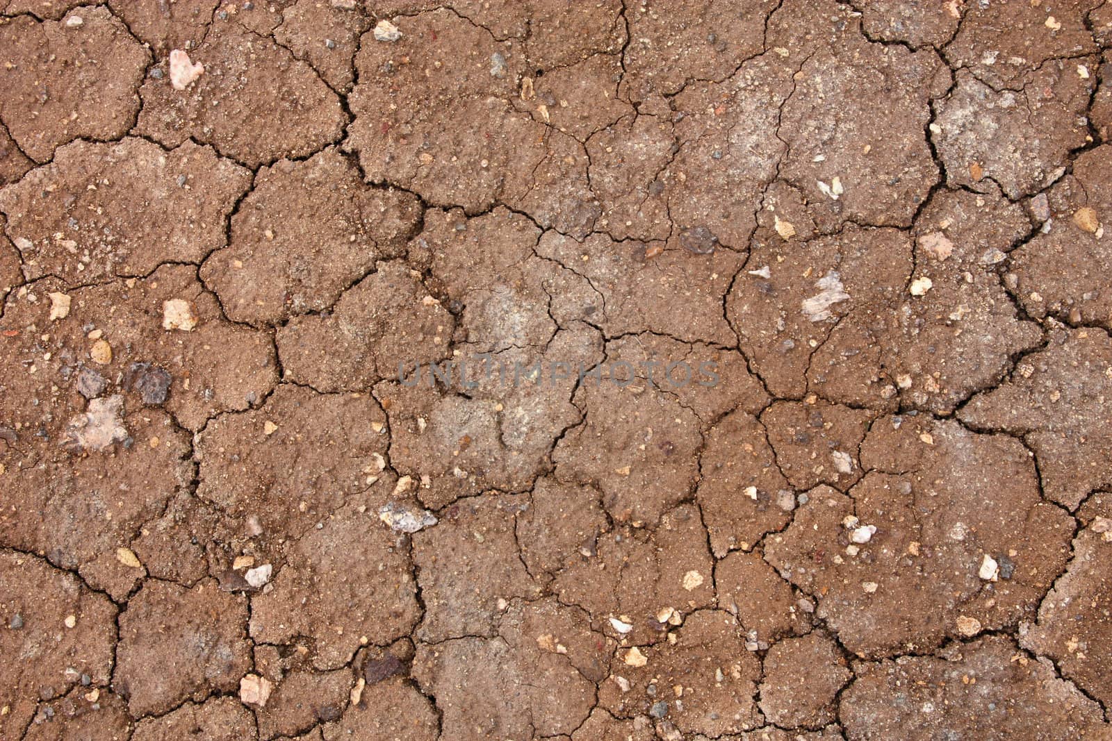 Dry desert soil background. Abstract cracked mud texture.