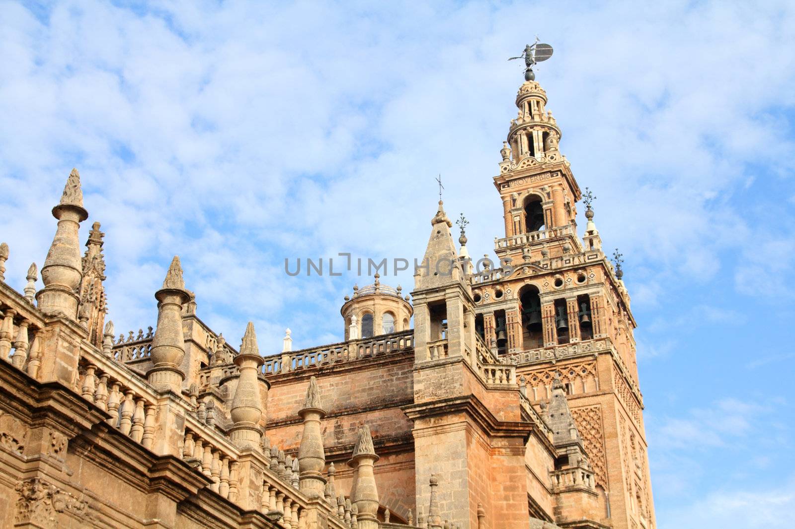 Seville cathedral by tupungato