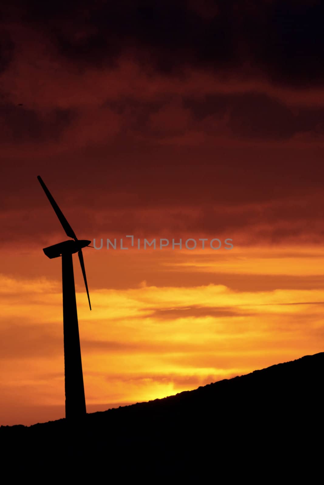 windmill on a sunset