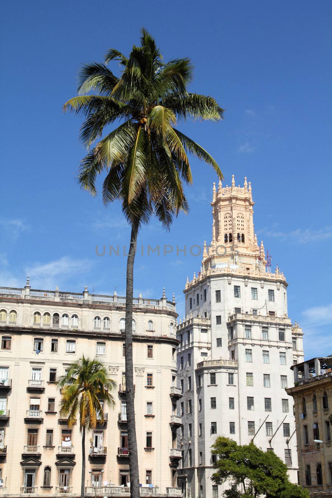 Havana, Cuba - city architecture. Eclectic buildings and palm trees.