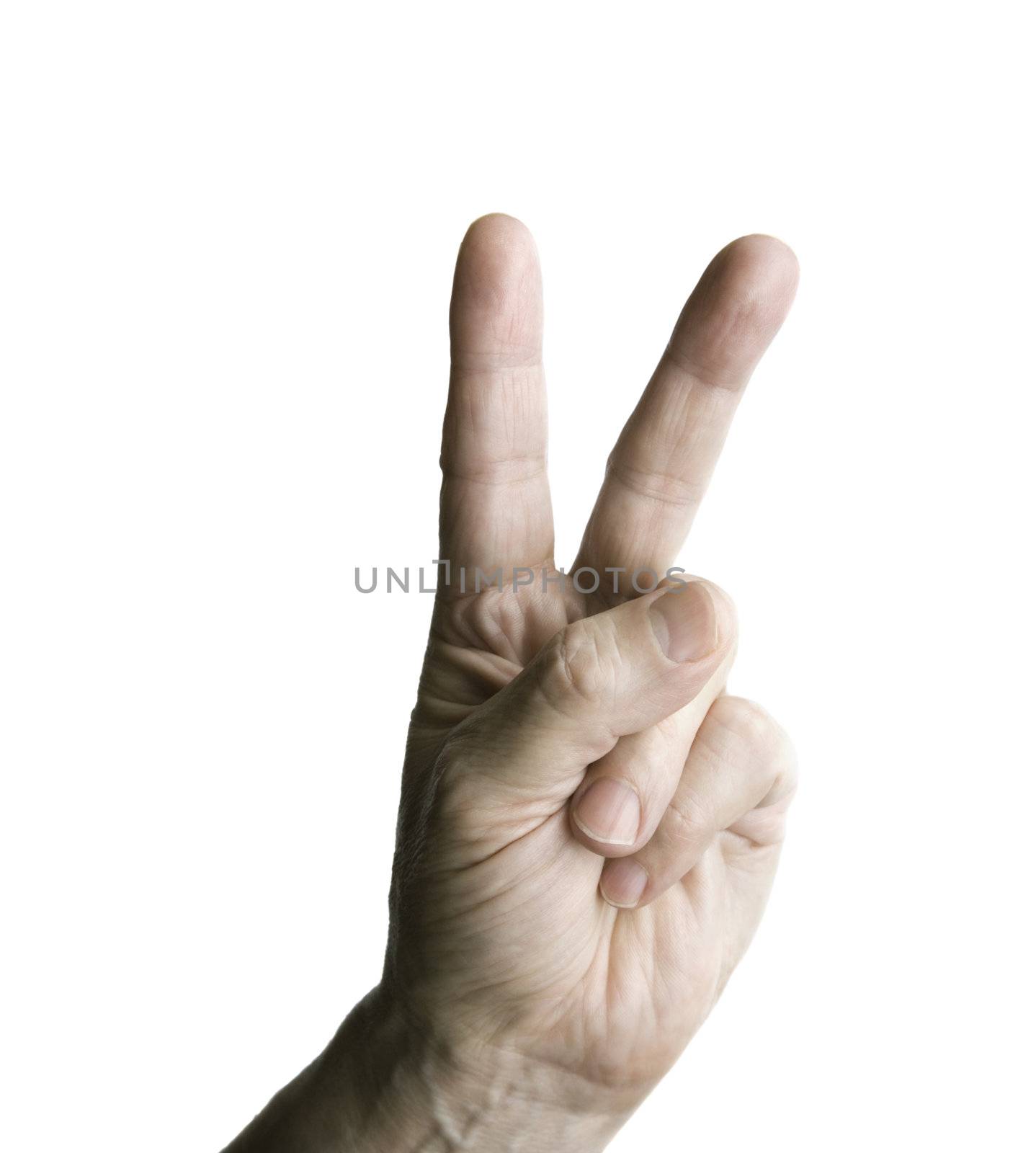 isolated hand on the white background