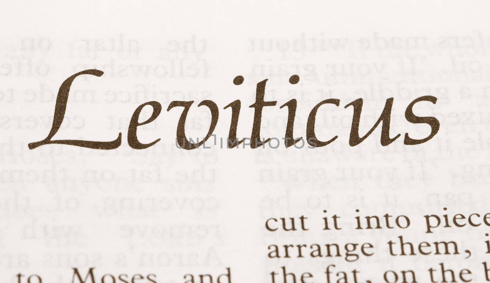 Leviticus by Kuzma