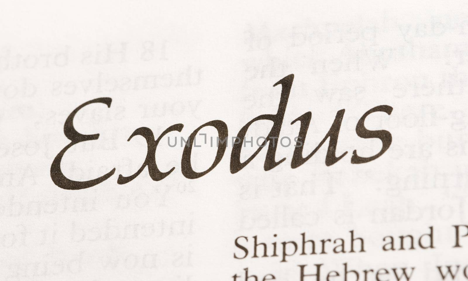 Exodus by Kuzma