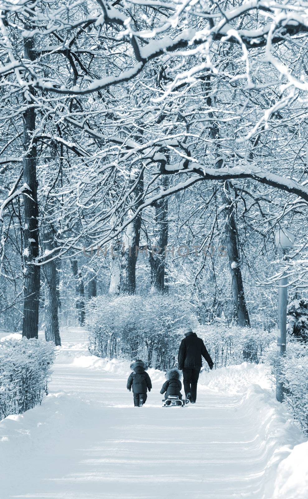 winter walk by Kuzma