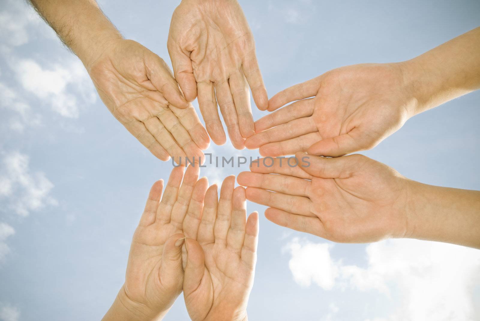 family hands by Kuzma