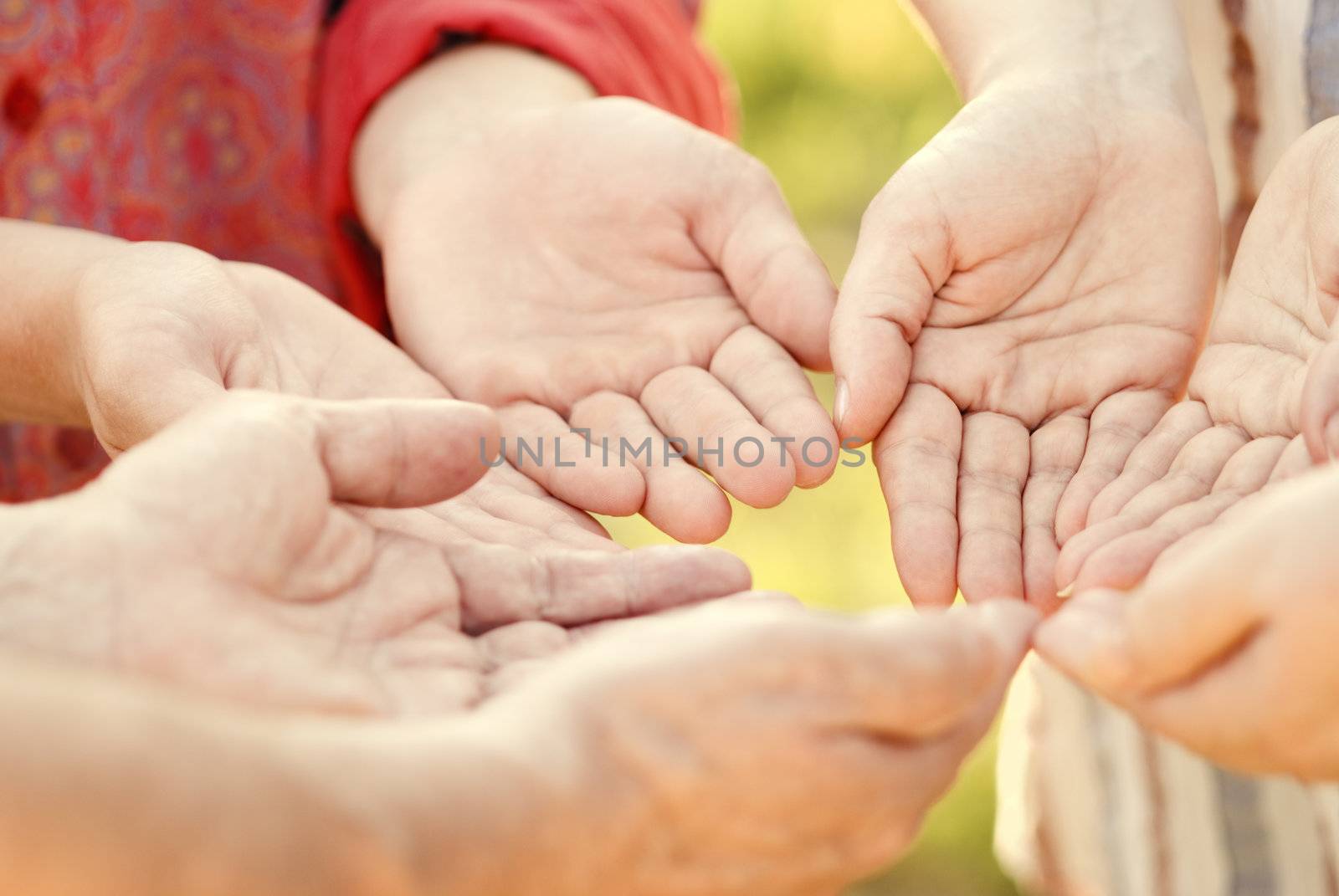 hands of family by Kuzma