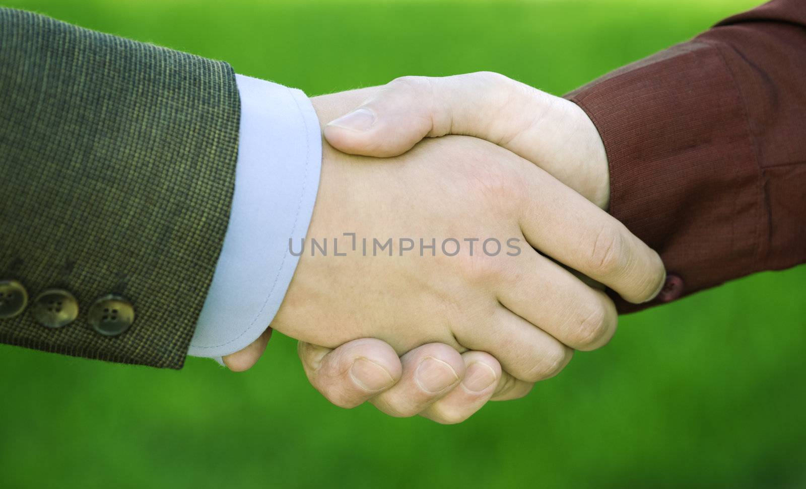 Business handshake by Kuzma