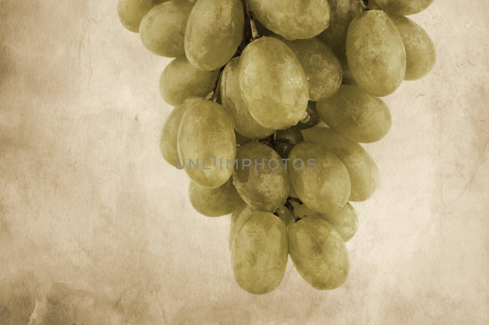 old  grunge paper texture and wet grapes