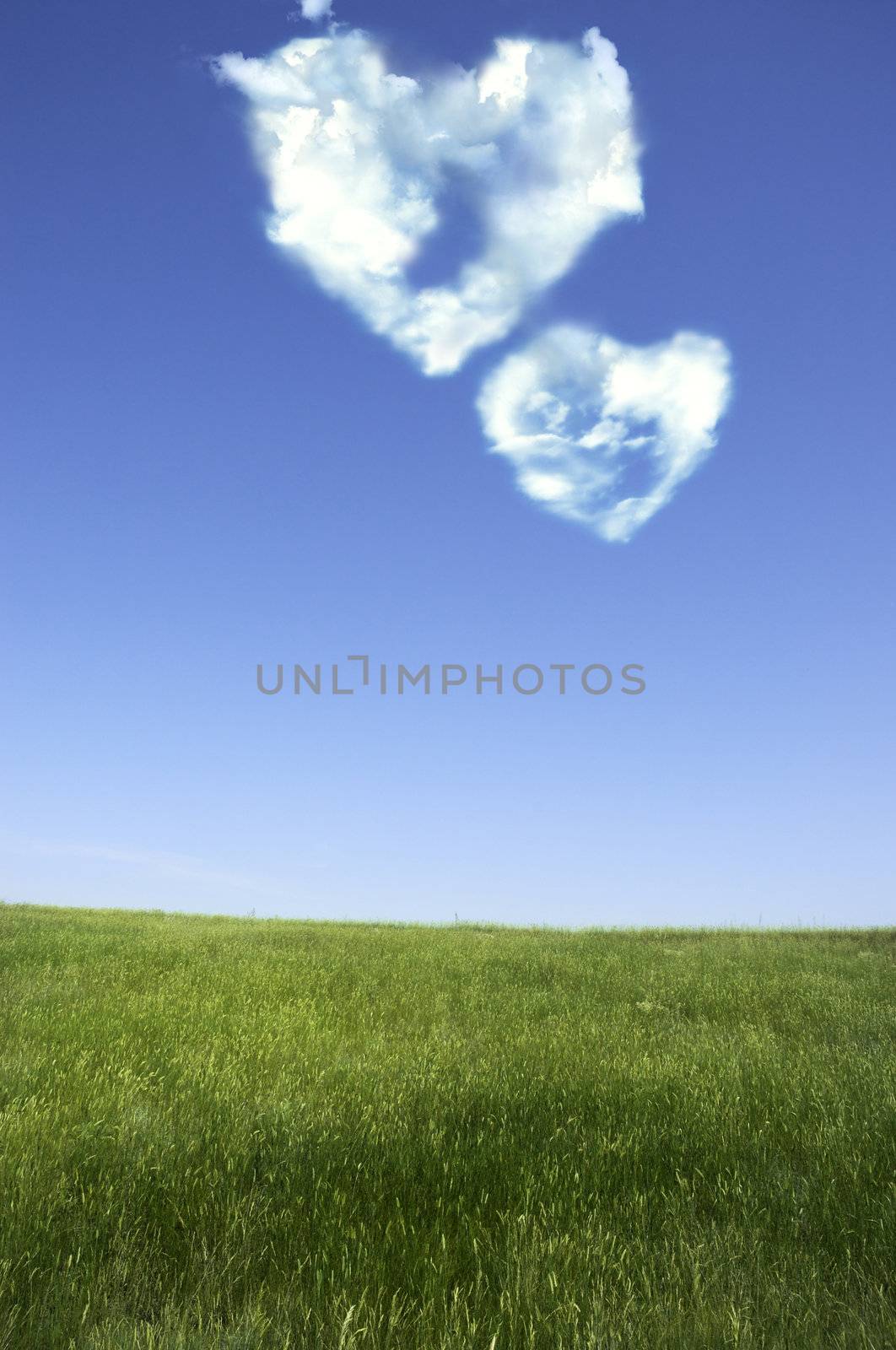 heart shapes on blue sky and fresh green grass