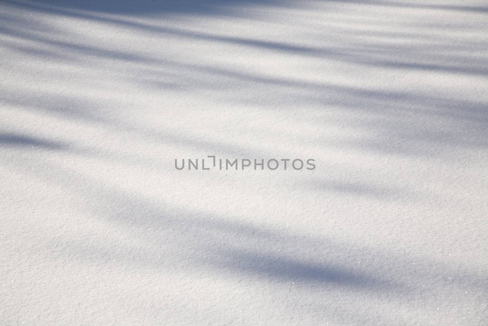 snow by Kuzma