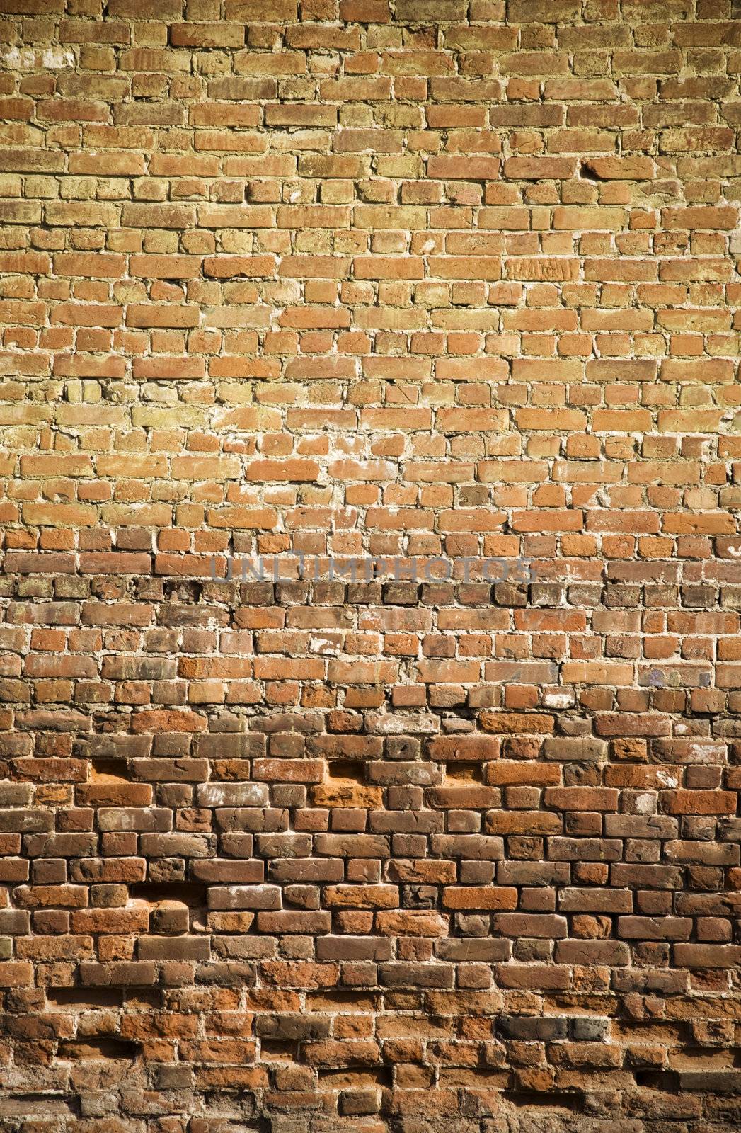 brick wall by Kuzma