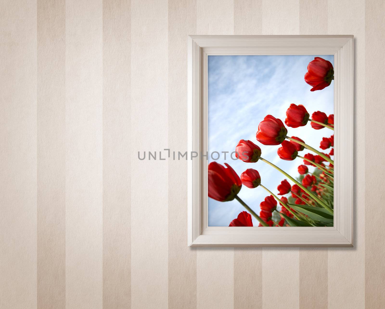 frame with tulips by Kuzma