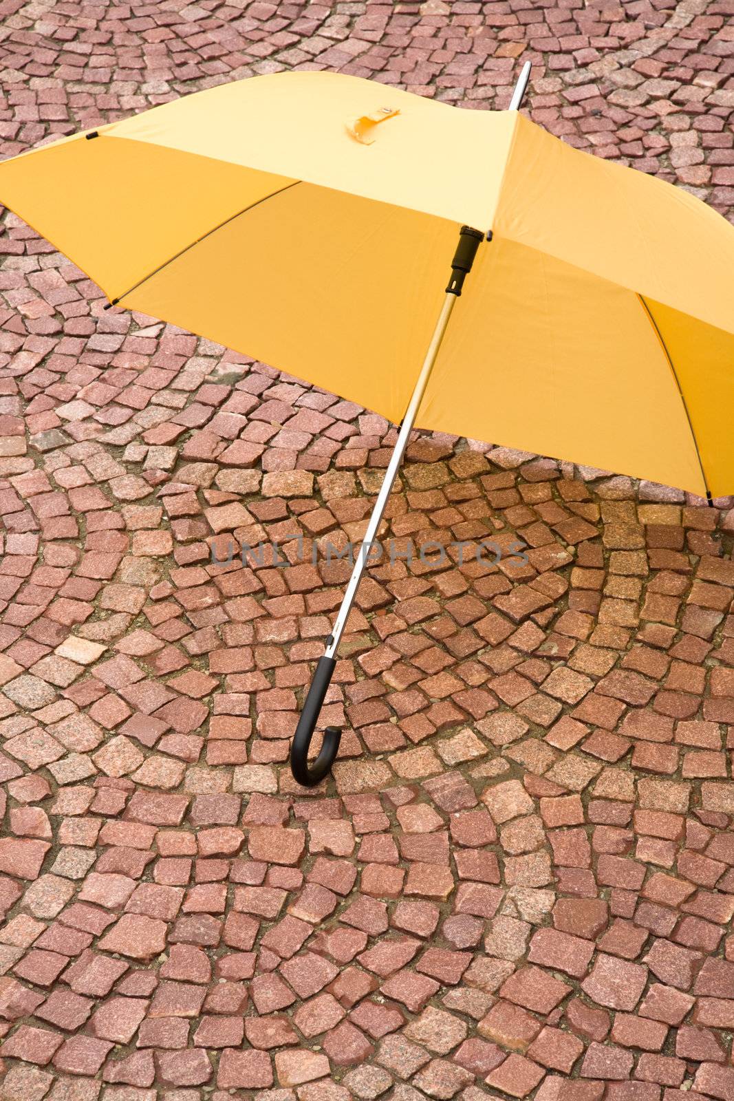 yellow umbrella by Kuzma