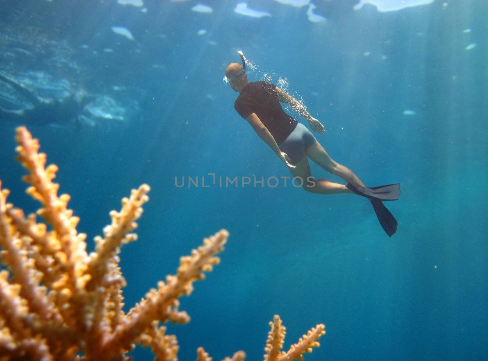 young diver pops up from the depths by irisphoto4