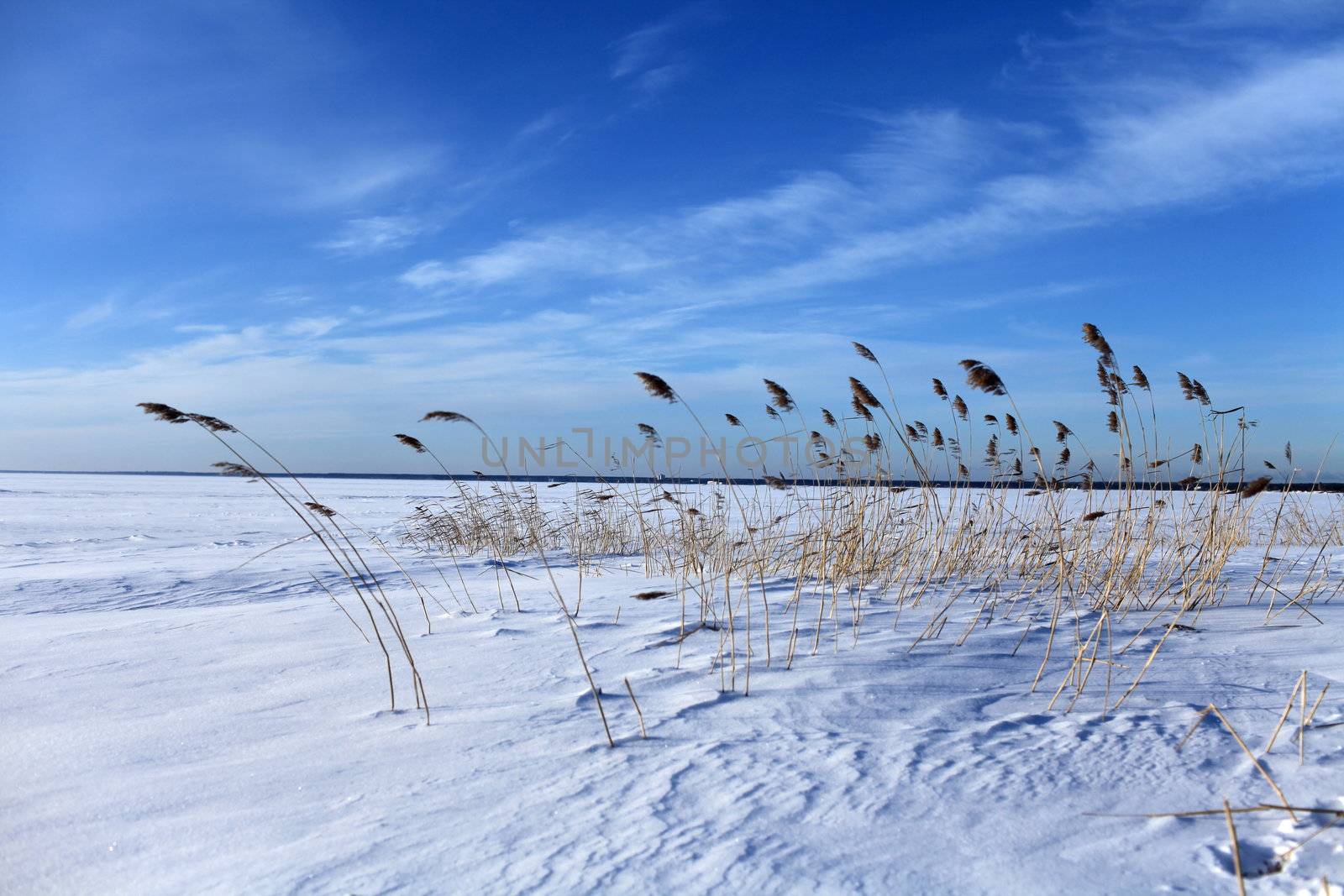 frozen sea looking like white snowy desert