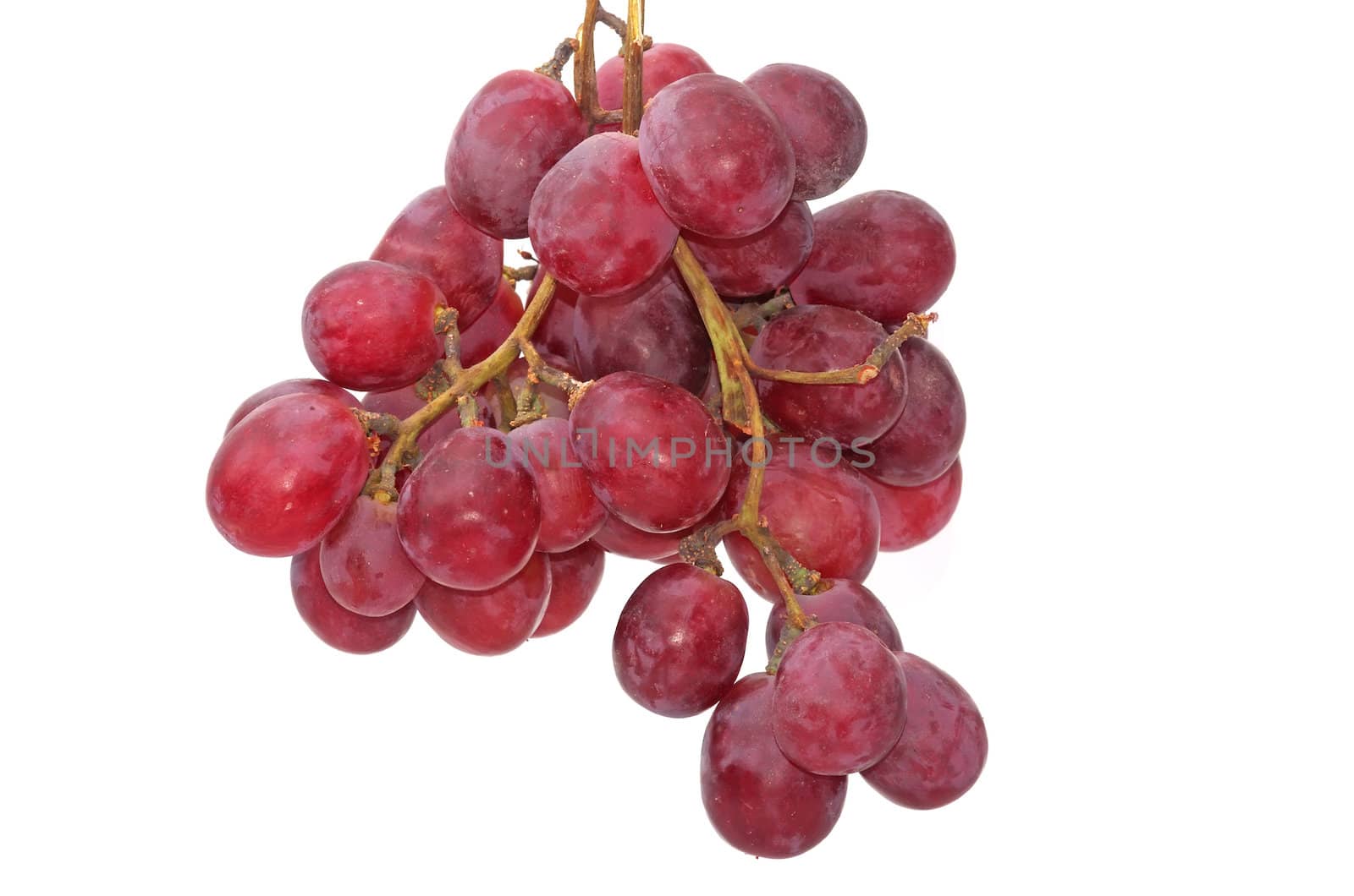 Rose grape on a white background