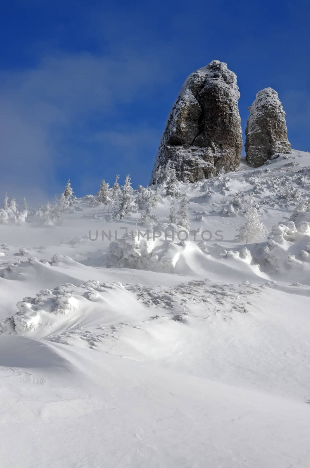 Winter scene on a mountain
