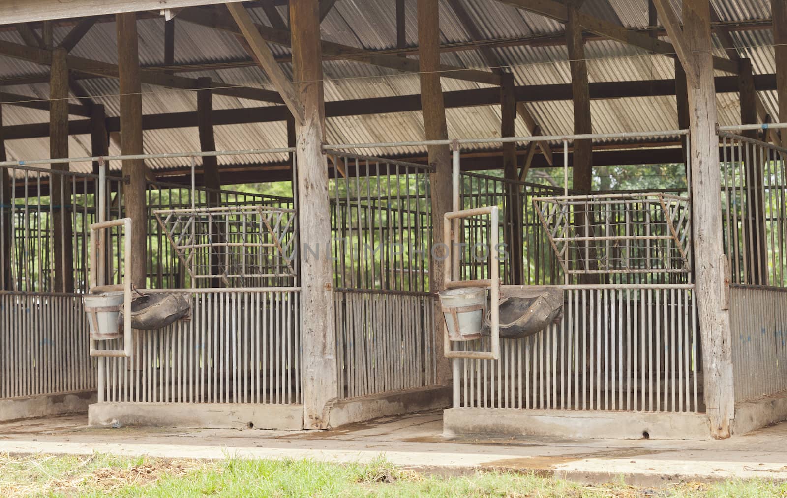 Empty poor horse barn