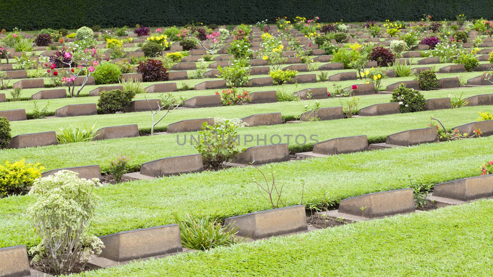 Grave Stone of The World War II Cemetery, Kanchanaburi, Thailand
