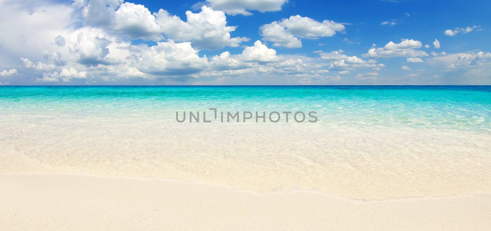 beautiful beach and tropical sea