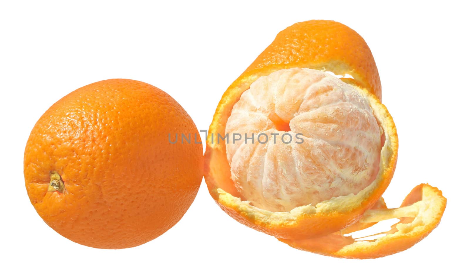 Ripe oranges on a white background