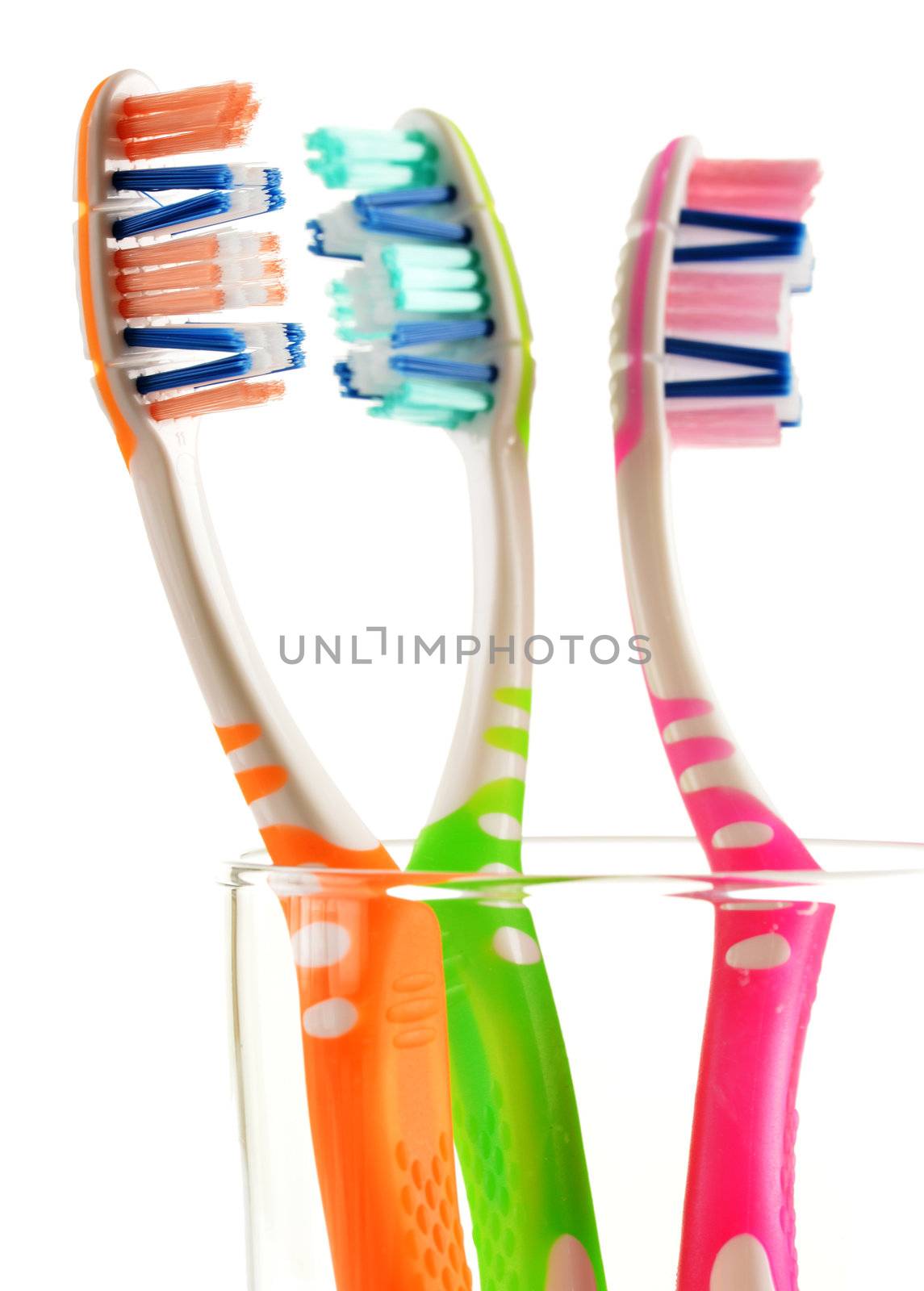 Composition with toothbrushes isolated on white background