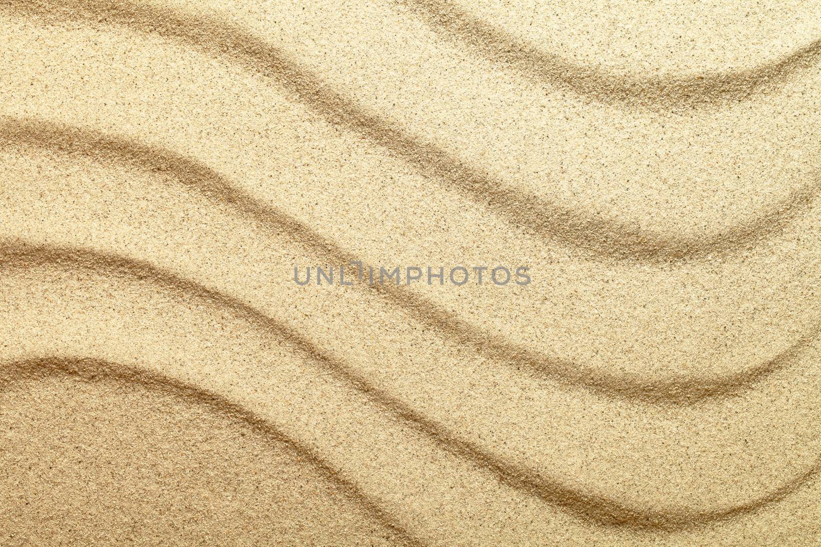 Sand background. Sandy beach texture. Top view