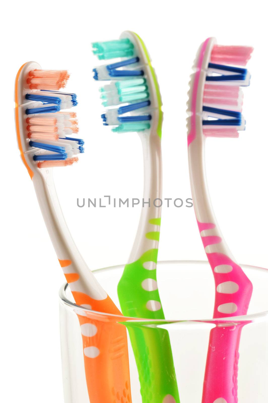 Composition with toothbrushes isolated on white  by monti