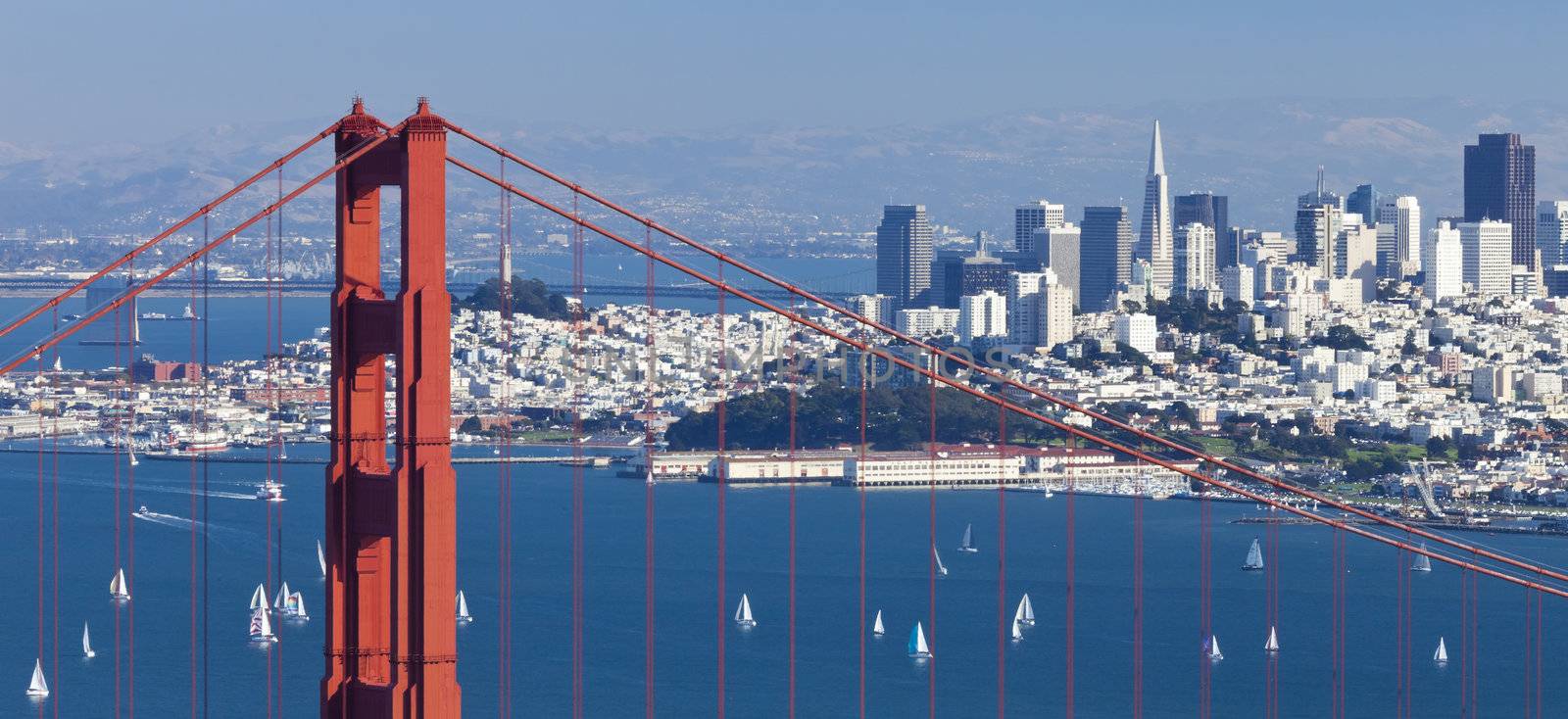 San Francisco Panorama w the Golden Gate bridge by hanusst